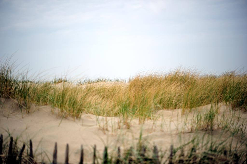 Zorghotel De Kim Noordwijk Bagian luar foto